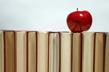 東北財經大學在職研究生招生流程 東北財經大學在職研究生招生流程