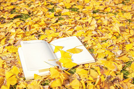 英國華威大學招生條件 英國華威大學招生條件