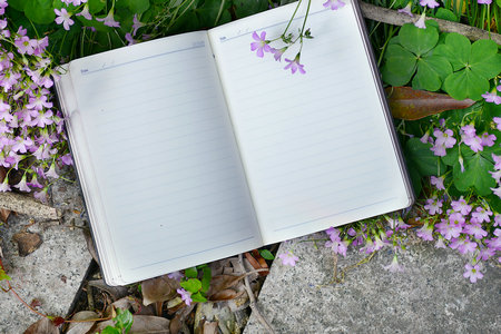 湖北工業(yè)大學(xué)在職研究生動(dòng)力工程碩士招生信息