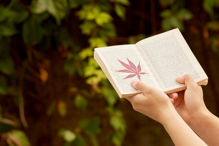 北京師范大學高級研修班招生條件 北京師范大學高級研修班招生條件