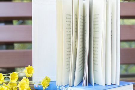 美國伯克利學院國際碩士招生專業目錄一覽表