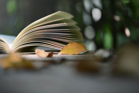 上海財(cái)經(jīng)大學(xué)MF招生簡章