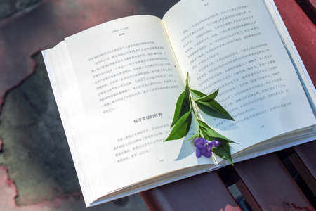 中國社會科學院大學MBA招生人群