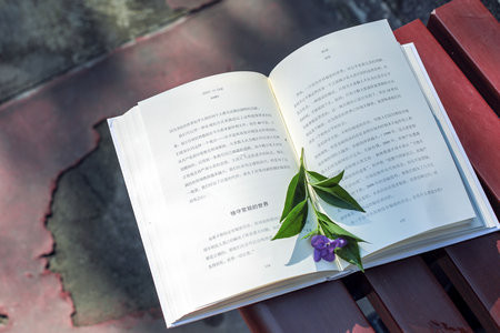 遼寧大學在職研究生招生學院介紹