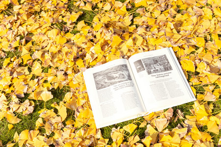 上海國家會計學院在職研究生招生時間