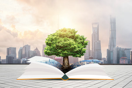 2025年閩江學(xué)院在職研究生招生流程