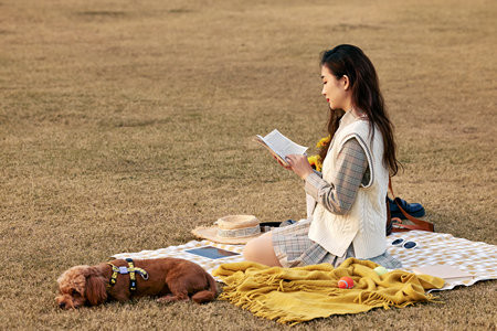 2025年湖北工業(yè)大學(xué)在職研究生招生簡章