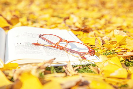 集美大學在職研究生招生簡章