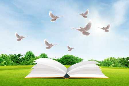 法國亞眠高等商學院國際博士招生條件