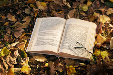 西安外國語大學同等學力申碩招生簡章 西安外國語大學同等學力申碩招生簡章