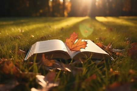 2026年齊齊哈爾大學非全日制研究生招生簡章