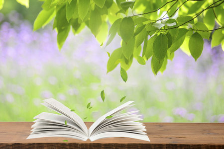 西安財經(jīng)大學(xué)同等學(xué)力申碩招生專業(yè) 西安財經(jīng)大學(xué)同等學(xué)力申碩招生專業(yè)