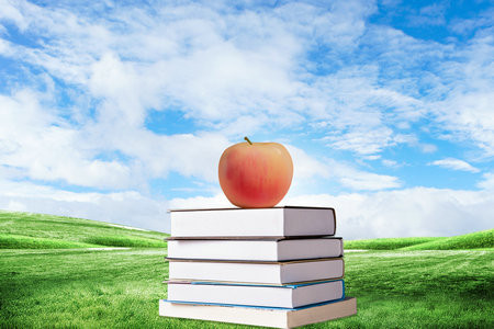 2026年河南師范大學在職研究生學制學費一覽表