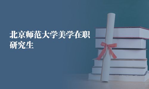 北京師范大學美學在職研究生