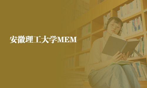 安徽理工大學MEM
