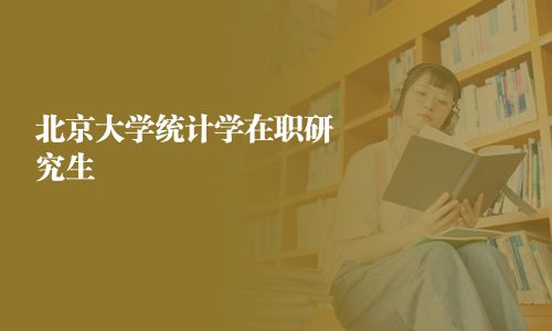 北京大學統計學在職研究生