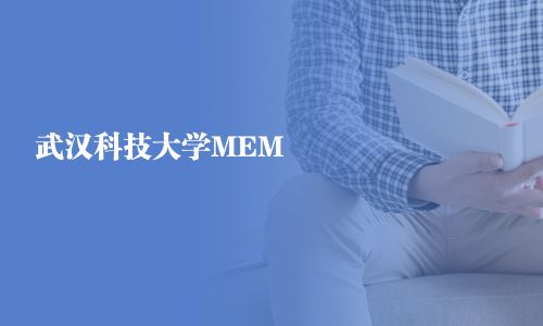 武漢科技大學MEM