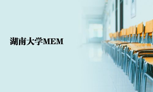 湖南大學(xué)MEM