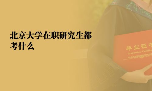 北京大學在職研究生都考什么