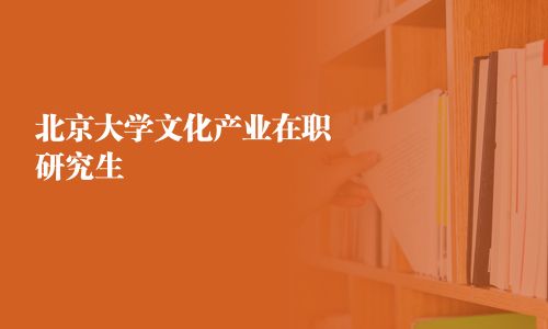 北京大學(xué)文化產(chǎn)業(yè)在職研究生