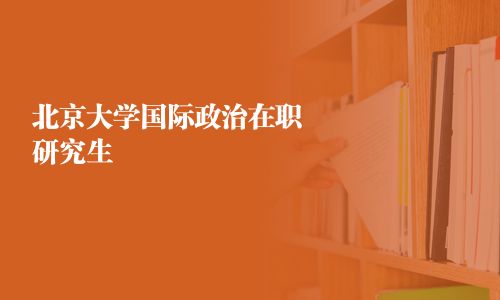 北京大學國際政治在職研究生