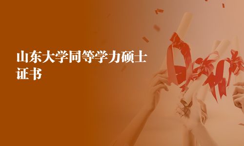 山東大學同等學力碩士證書