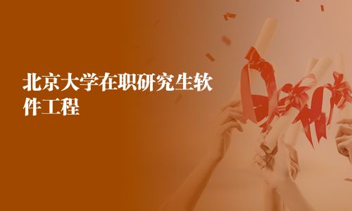 北京大學(xué)在職研究生軟件工程