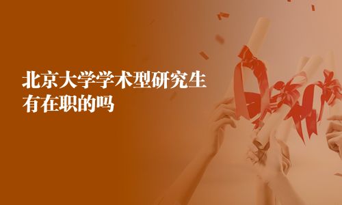 北京大學學術型研究生有在職的嗎