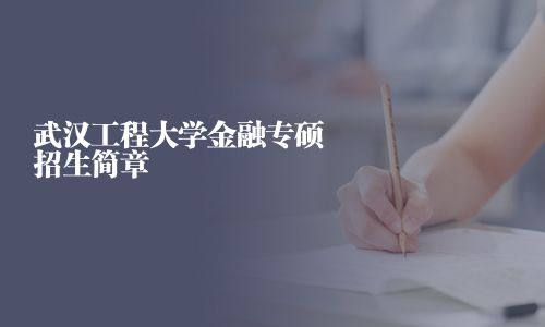 武漢工程大學金融專碩招生簡章