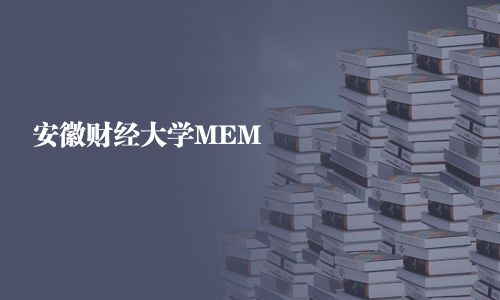 安徽財經大學MEM