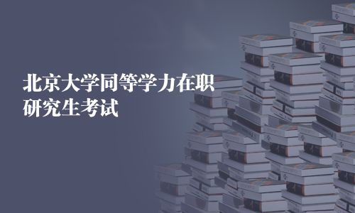 北京大學同等學力在職研究生考試