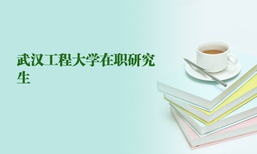 武漢工程大學在職研究生