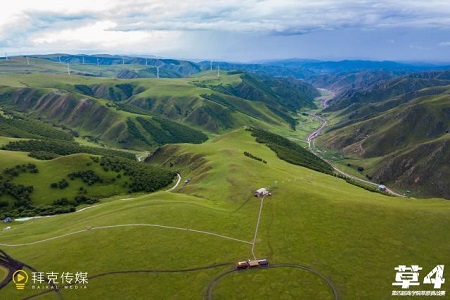 第四屆亞草賽凱旋而歸圖片02