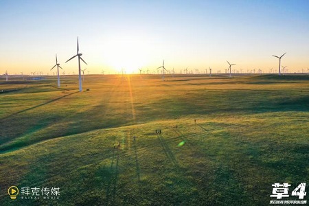 第四屆亞草賽凱旋而歸圖片06