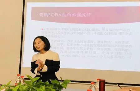 杜濰舟介紹索菲亞獨角獸訓練營項目圖片