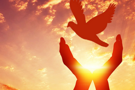 中國哲學(xué)在職研究生報考人群 中國哲學(xué)在職研究生報考人群