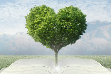 青島農業大學在職研究生報名時間 青島農業大學在職研究生報名時間