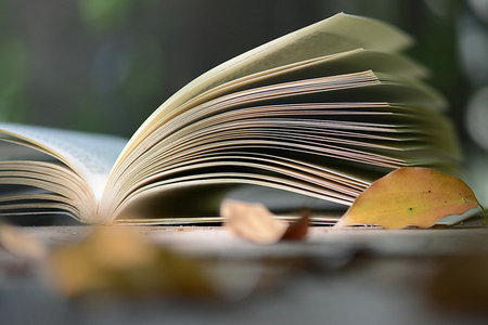 西南財(cái)經(jīng)大學(xué)在職研究生報(bào)考條件及報(bào)名時(shí)間