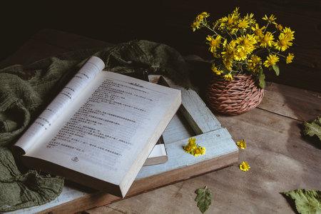 中國政法大學知識產(chǎn)權(quán)法在職研究生招生信息