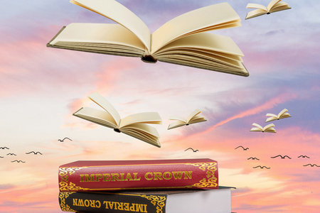 江西師范大學(xué)教育學(xué)在職研究生報(bào)名入口