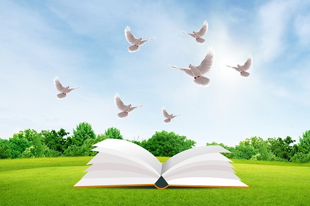 關于南京航空航天大學法律（法學）非全日制研究生招生信息詳解