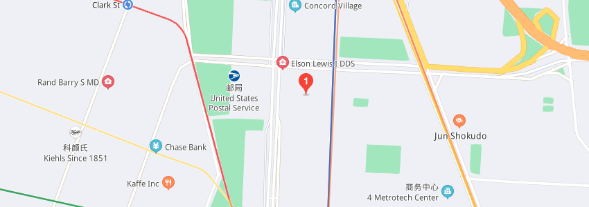 美國紐約理工大學