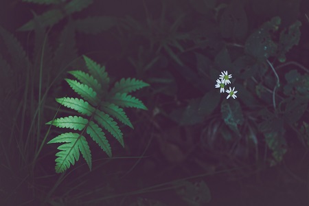 準備讀首都經濟貿易大學在職研究生的你，知道這些福利嗎？