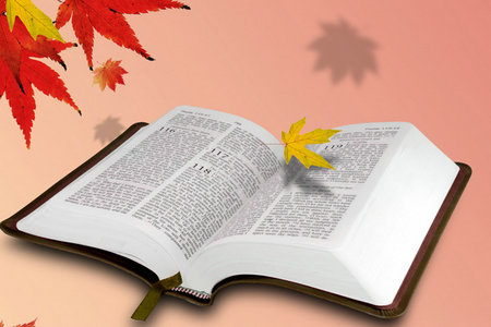 中國政法大學刑法學在職研究生招生詳情