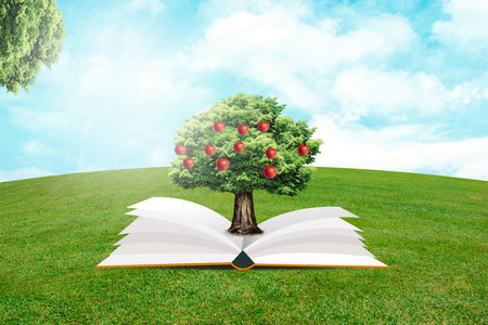 山東理工大學(xué)紡織工程非全日制研究生招生條件 山東理工大學(xué)紡織工程非全日制研究生招生條件