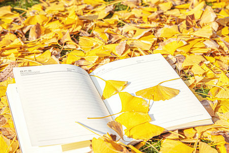 武漢工程大學(xué)礦業(yè)工程在職研究生招生信息