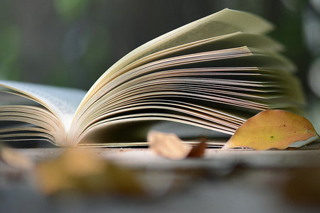 公共管理在職研究生工作前景