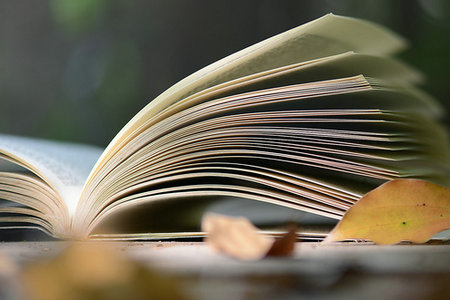 東北大學在職研究生報名時間