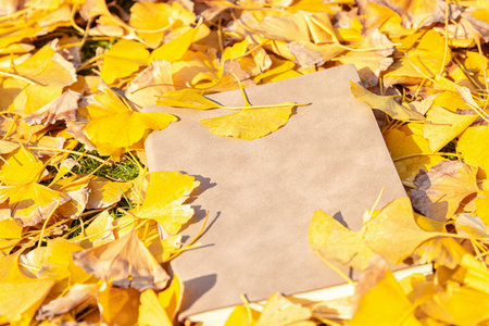 專科可以報考重慶師范大學職業技術教育非全日制研究生嗎