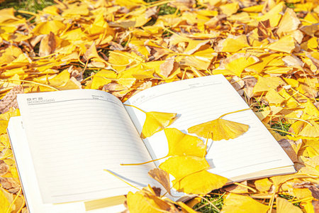 河南財經政法大學工商管理在職研究生上課方式